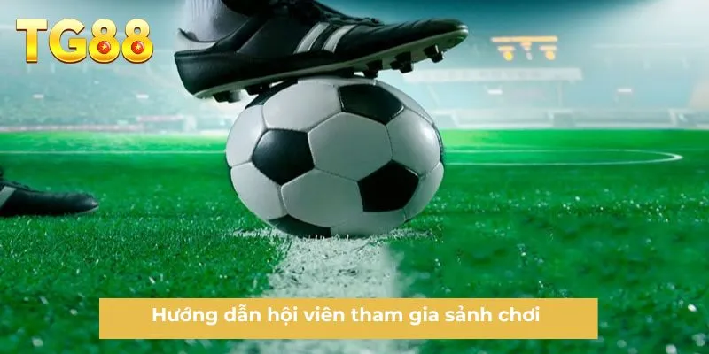Hướng dẫn hội viên tham gia sảnh chơi