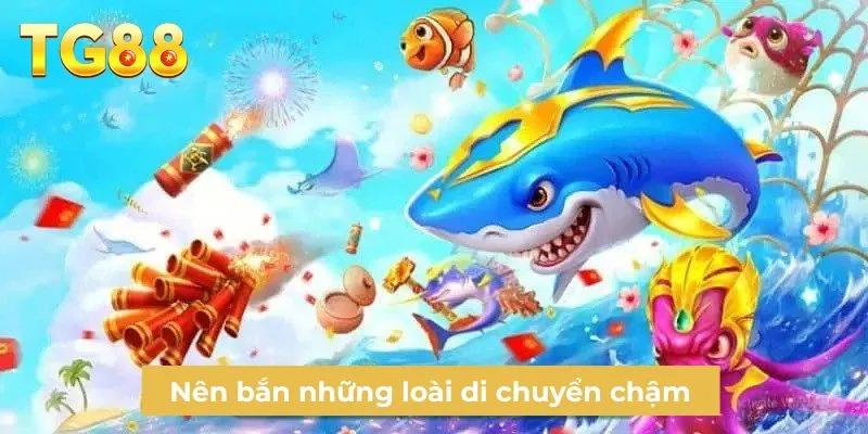 Nên bắn những loài di chuyển chậm 