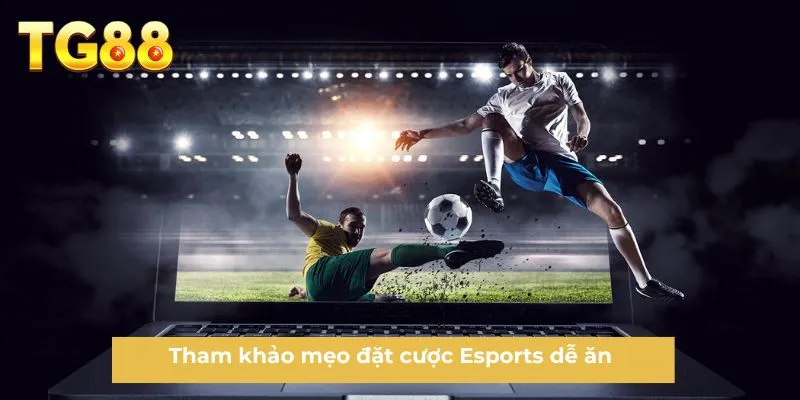 Tham khảo mẹo đặt cược Esports dễ ăn